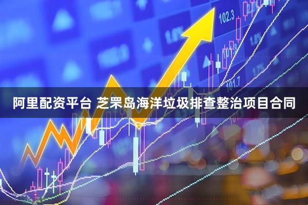 阿里配资平台 芝罘岛海洋垃圾排查整治项目合同