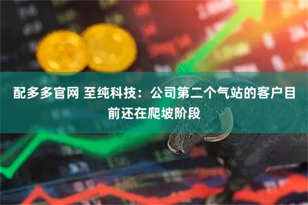 配多多官网 至纯科技：公司第二个气站的客户目前还在爬坡阶段